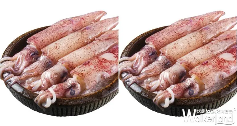 Umi火鍋水產直賣所 / WalkerLand窩客島整理提供 未經許可，不得轉載