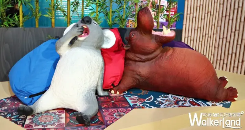 動物也瘋狂 朝隈俊男Animal Life / WalkerLand窩客島提供 未經許可，不得轉載