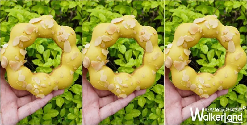 Mister Donut地中海檸檬圈 / WalkerLand窩客島提供 未經許可，不得轉載