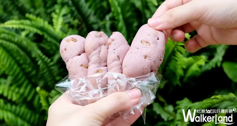 而「洄瀾麵包系列」則是有彷彿麻糬般Q彈口感的「紫心地瓜」，以及包入芋頭餡和麻糬的「芋頭餐包」，和滿滿地瓜餡和黑糖麻糬混搭的「地瓜餐包」，款款都具有濃濃的花蓮風味。