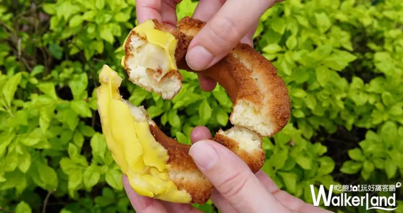 Mister Donut地中海檸檬圈 / WalkerLand窩客島提供 未經許可，不得轉載