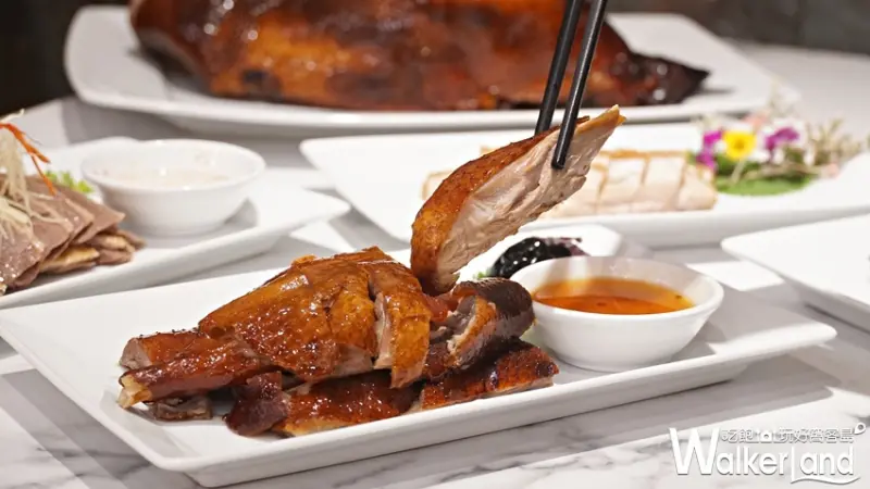 金鳳錦  / WalkerLand窩客島提供 未經許可，不得轉載