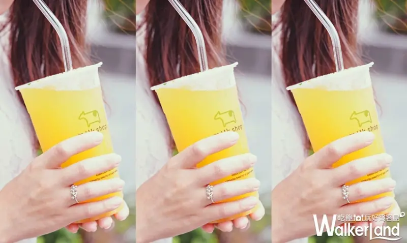 迷客夏 / WalkerLand窩客島提供 未經許可，不得轉載