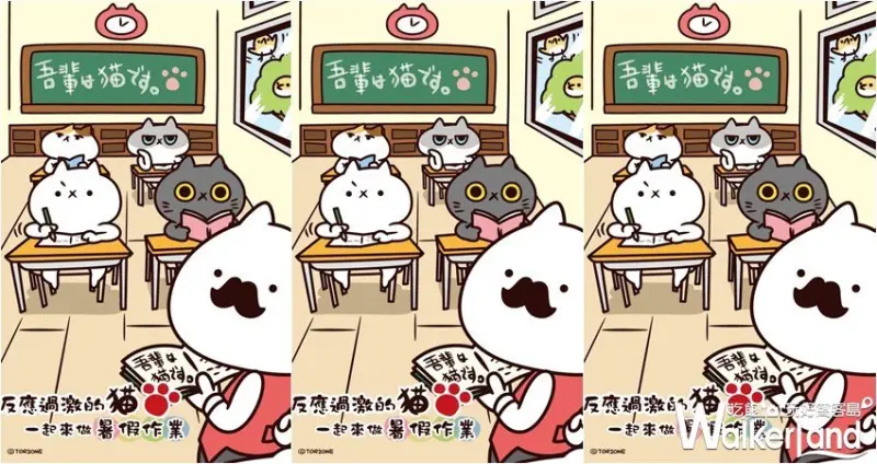 反應過激的貓X環球聯名 / WalkerLand窩客島整理提供 未經許可，不得轉載