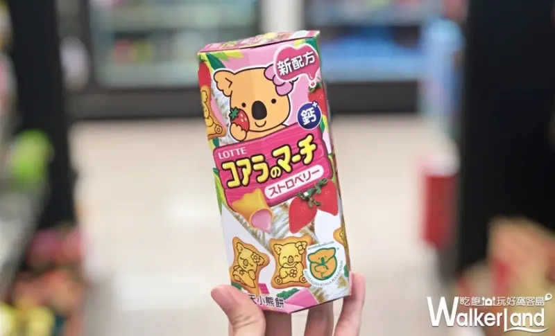 LOTTE 樂天小熊餅乾 / WalkerLand窩客島整理提供 未經授權不可轉載