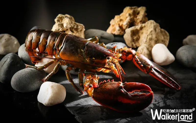 信義區Beef King吃到飽 / WalkerLand窩客島整理提供 未經許可，不得轉載