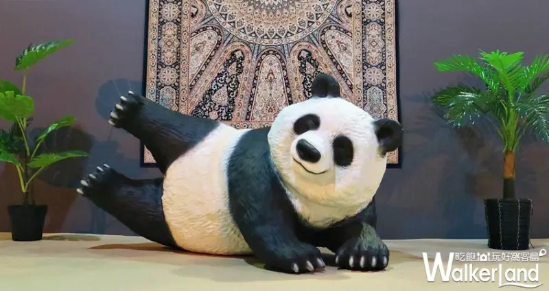 動物也瘋狂 朝隈俊男Animal Life / WalkerLand窩客島提供 未經許可，不得轉載