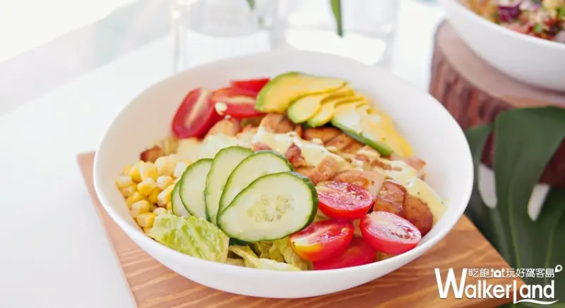 Dazzling Café / WalkerLand窩客島提供 未經許可，不得轉載