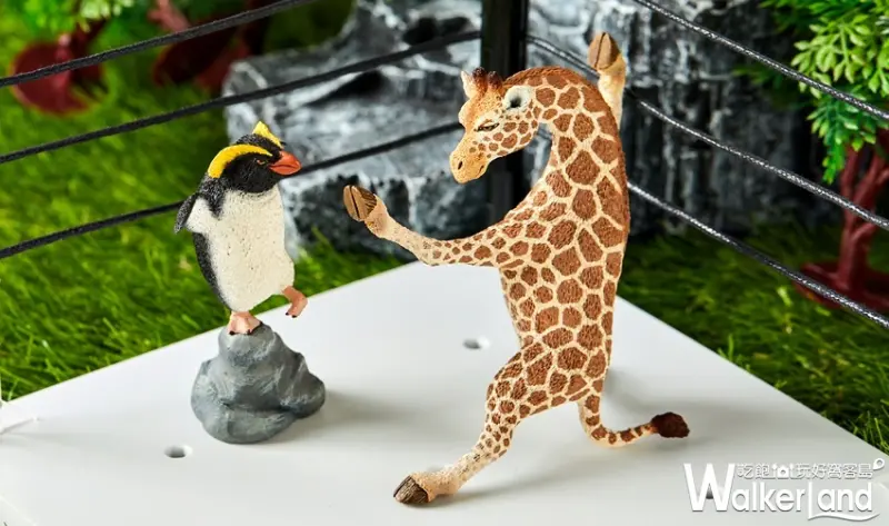 Animal Life / WalkerLand窩客島提供 未經許可，不得轉載