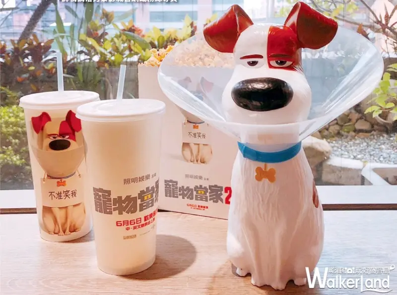秀泰影城「寵物當家2」造型杯 / WalkerLand窩客島整理提供 未經許可不可轉載