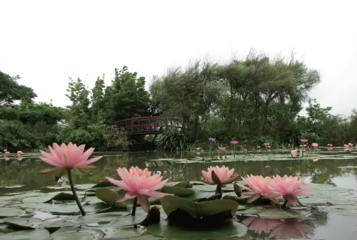 拍不夠！網美IG新熱點！非去不可桃園觀音隱藏版5大私房路線帶你去～