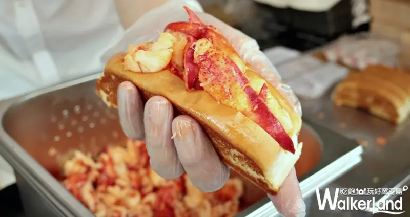 中壢美食「美國最強龍蝦堡Cousins Maine Lobster」/ WalkerLand窩客島整理提供 未經許可不可轉載