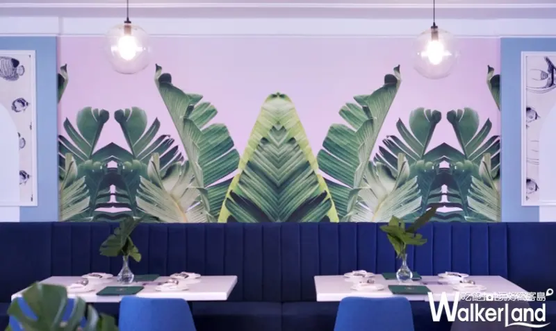 Dazzling Café / WalkerLand窩客島提供 未經許可，不得轉載