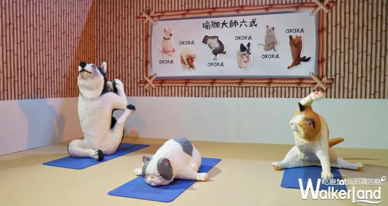 動物也瘋狂 朝隈俊男Animal Life / WalkerLand窩客島提供 未經許可，不得轉載