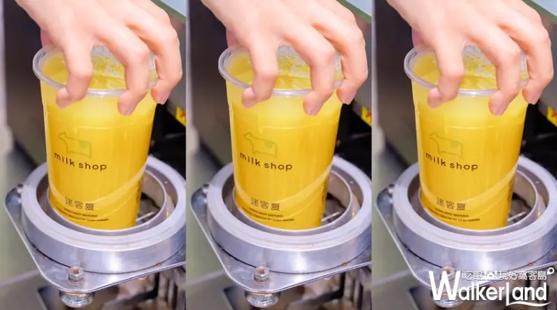 迷客夏 / WalkerLand窩客島提供 未經許可，不得轉載