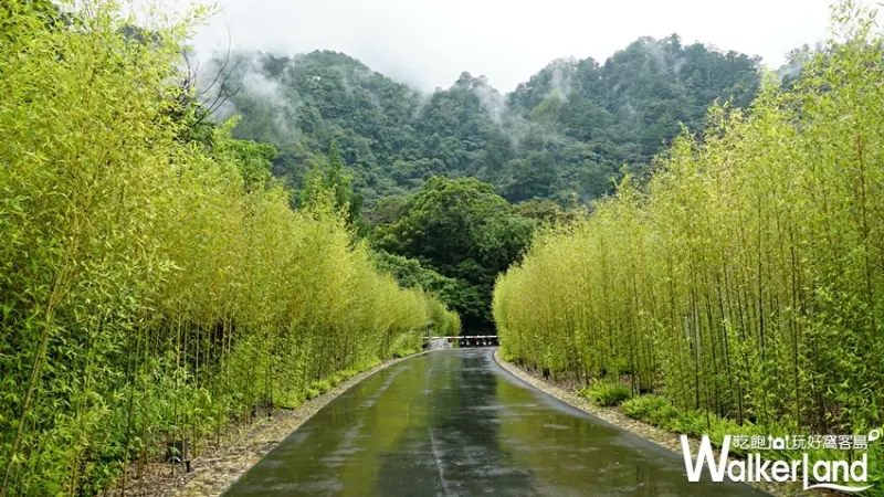 虹夕諾雅 谷關 / WalkerLand窩客島提供 未經許可，不得轉載