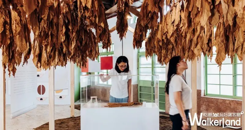 SoundxSmell 氤氳與腦神經趴踢 / WalkerLand窩客島整理提供 未經許可，不得轉載