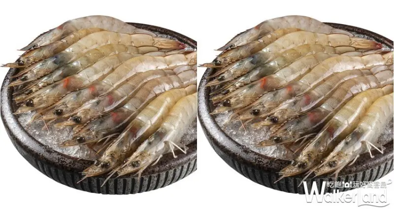 Umi火鍋水產直賣所 / WalkerLand窩客島整理提供 未經許可，不得轉載