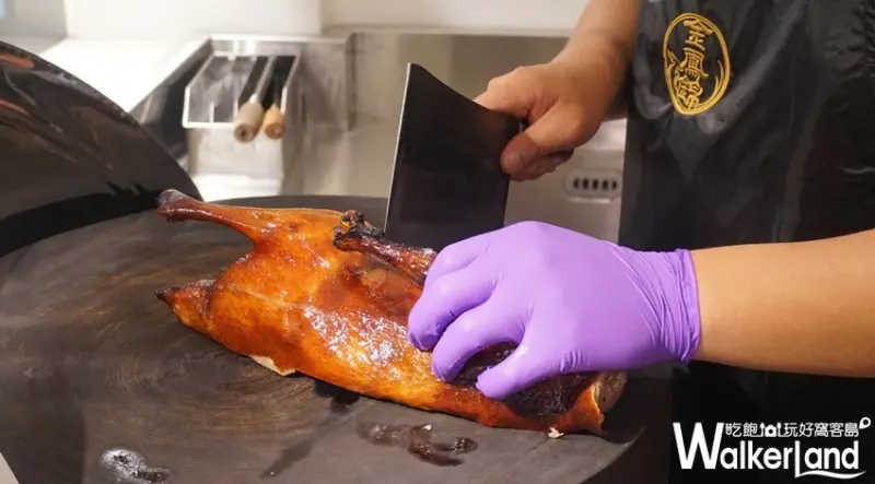 金鳳錦  / WalkerLand窩客島提供 未經許可，不得轉載