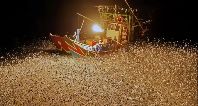 熱血，就是連衝4次北海岸！四場海洋慶典將在北海岸神展開，蹦火音樂季、和平島音樂季、大武崙觀星、白沙灣浪漫生活節，場場免費絕對High翻今年夏天。