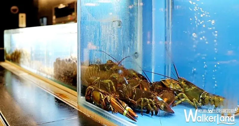 Umi火鍋水產直賣所 / WalkerLand窩客島整理提供 未經許可，不得轉載