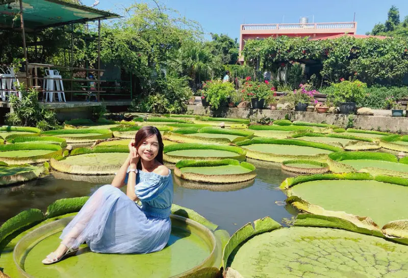美食好芃友曾在「康莊蓮園」