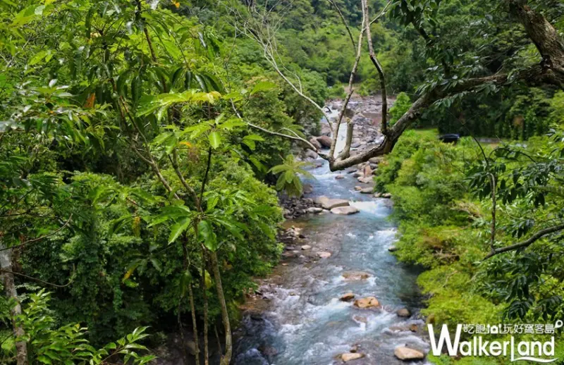 烏來福山-幸福德拉楠 大羅蘭溪]