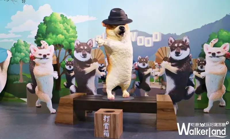 動物也瘋狂 朝隈俊男Animal Life / WalkerLand窩客島提供 未經許可，不得轉載