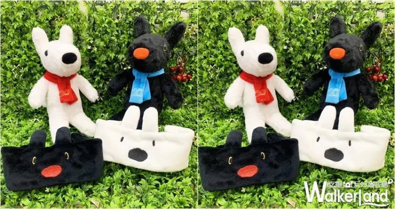 麗莎和卡斯柏20週年慶 / WalkerLand窩客島提供 未經許可，不得轉載