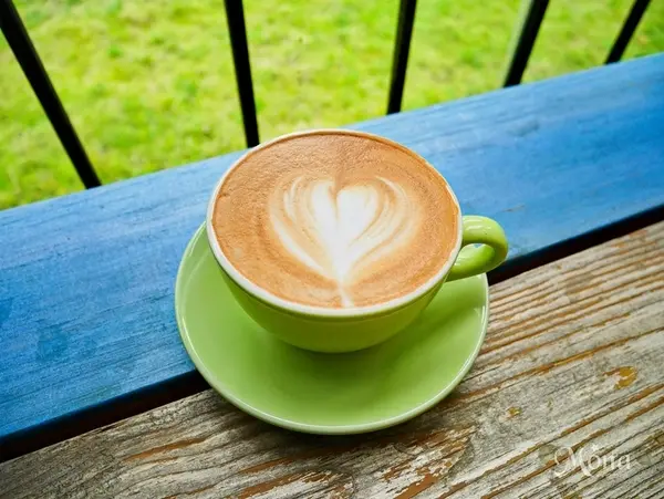 美食窩客 夢娜 曾在「D.G Café」