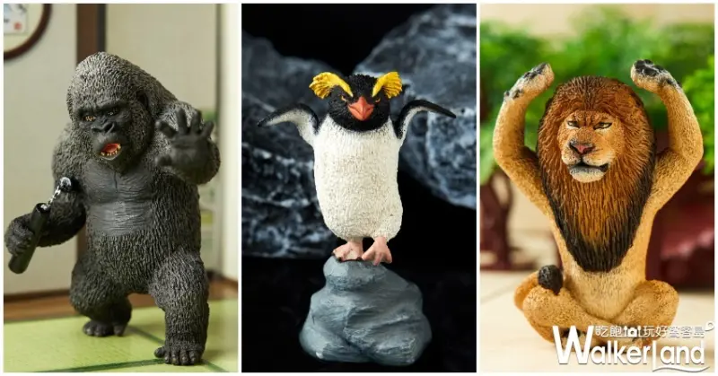 Animal Life / WalkerLand窩客島提供 未經許可，不得轉載