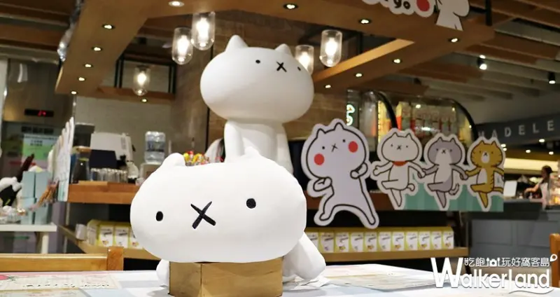 反應過激的貓咖啡廳 / WalkerLand窩客島提供 未經許可，不得轉載