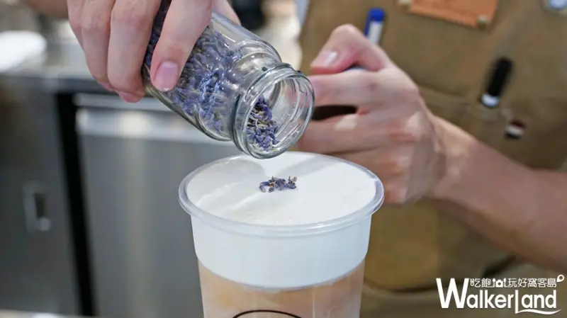 CiaoTender俏 / WalkerLand窩客島提供 未經許可，不得轉載