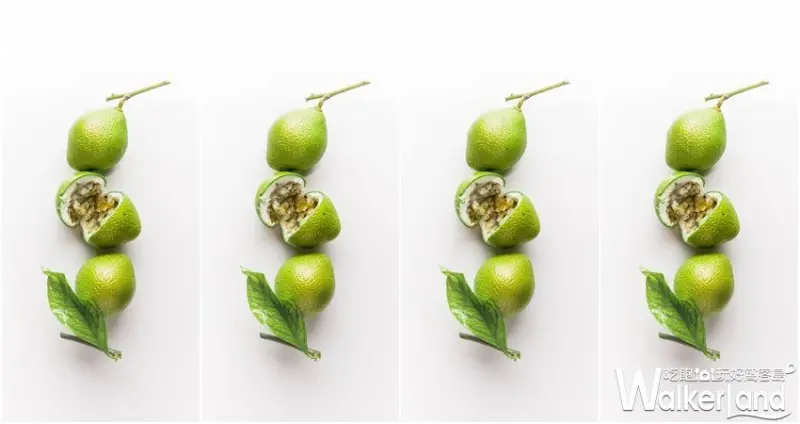 法國甜點名師Cédric Grolet/ WalkerLand窩客島整理提供 未經許可，不得轉載