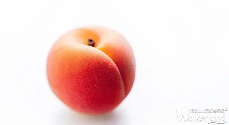 法國甜點名師Cédric Grolet/ WalkerLand窩客島整理提供 未經許可，不得轉載