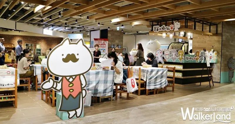 反應過激的貓咖啡廳 / WalkerLand窩客島提供 未經許可，不得轉載