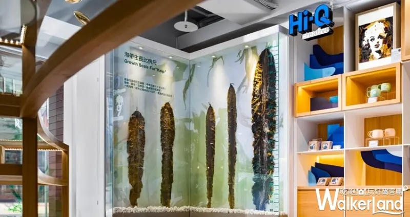 台北火鍋「Hi-Q鱻食」 / WalkerLand窩客島整理提供 未經許可不可轉載