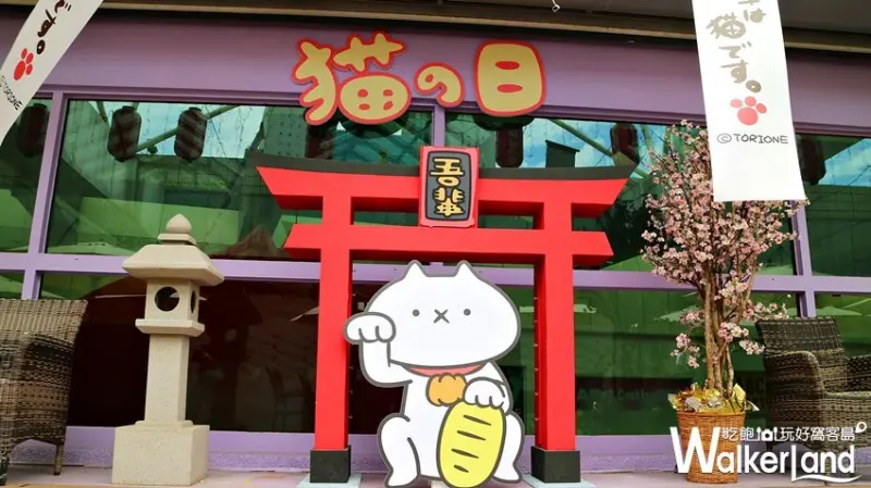 反應過激的貓咖啡廳 / WalkerLand窩客島提供 未經許可，不得轉載