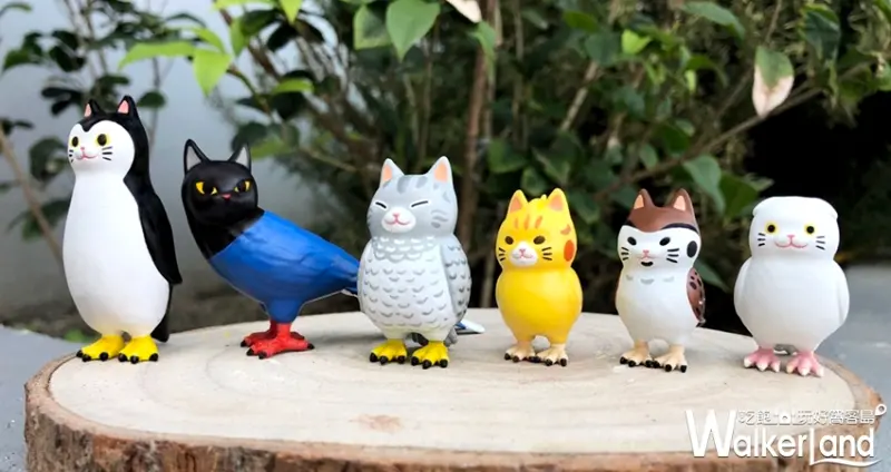 貓鳥 / WalkerLand窩客島提供 未經許可，不得轉載