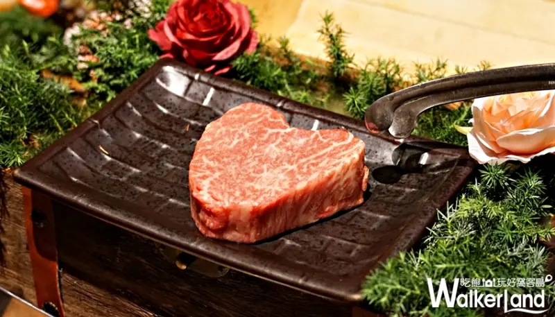 乾杯 / WalkerLand窩客島提供 未經許可，不得轉載