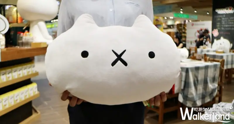 反應過激的貓咖啡廳 / WalkerLand窩客島提供 未經許可，不得轉載
