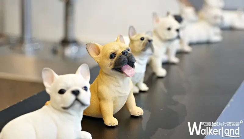 BONCHu / WalkerLand窩客島提供 未經許可，不得轉載