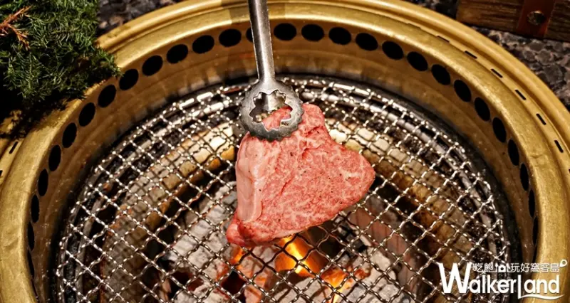 乾杯 / WalkerLand窩客島提供 未經許可，不得轉載