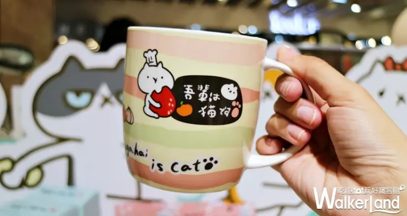 反應過激的貓咖啡廳 / WalkerLand窩客島提供 未經許可，不得轉載