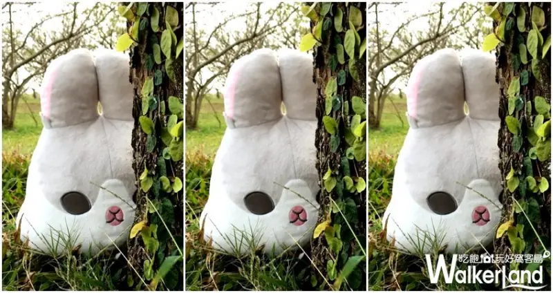 「貓貓蟲咖波咖啡廳」台北快閃 / WalkerLand窩客島整理提供 未經許可不可轉載