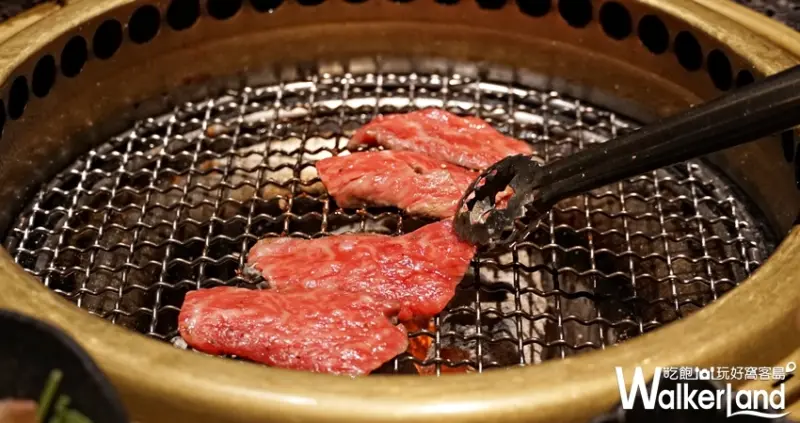 乾杯 / WalkerLand窩客島提供 未經許可，不得轉載