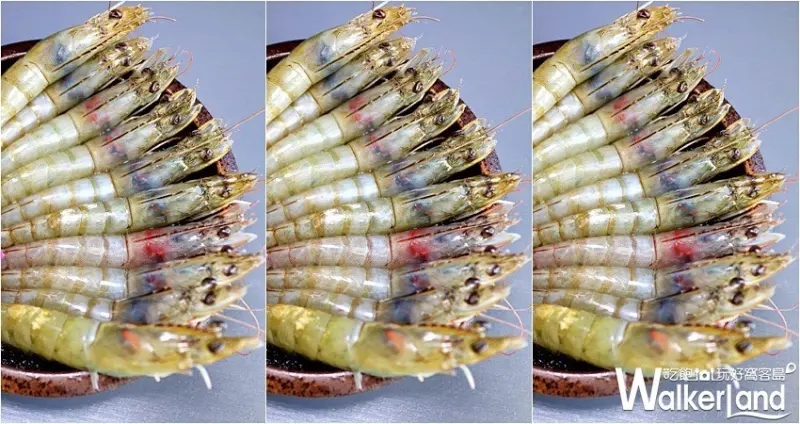 Umi火鍋 愛就是陪你吃肉999套餐 / WalkerLand窩客島整理提供 未經許可，不得轉載