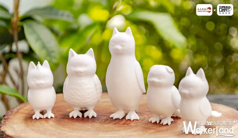 貓鳥 / WalkerLand窩客島提供 未經許可，不得轉載