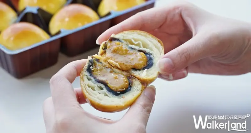 拿破崙先生 / WalkerLand窩客島提供 未經許可，不得轉載