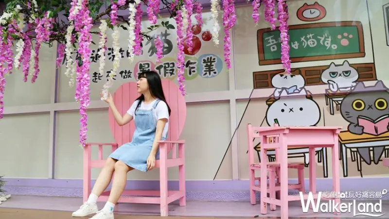 反應過激的貓咖啡廳 / WalkerLand窩客島提供 未經許可，不得轉載